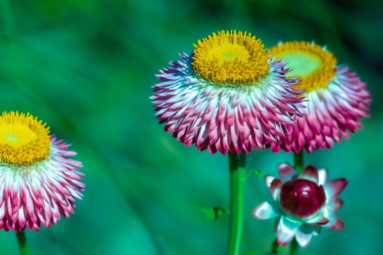 belinda brown photography nz travel